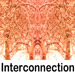 interconnection quotes