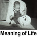 meaning of life quotes