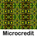 microcredit quotes