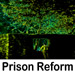 prison reform quotes