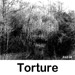end torture quotes